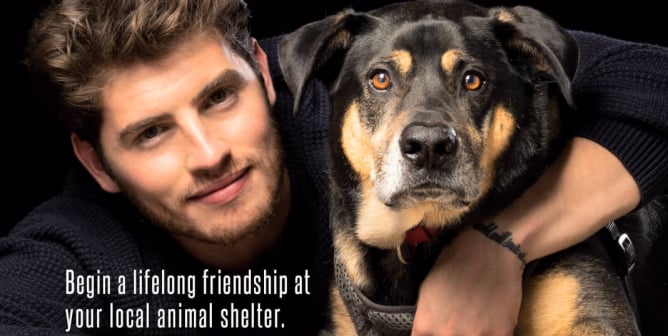 Gregg Sulkin: Adopt, Don’t Shop