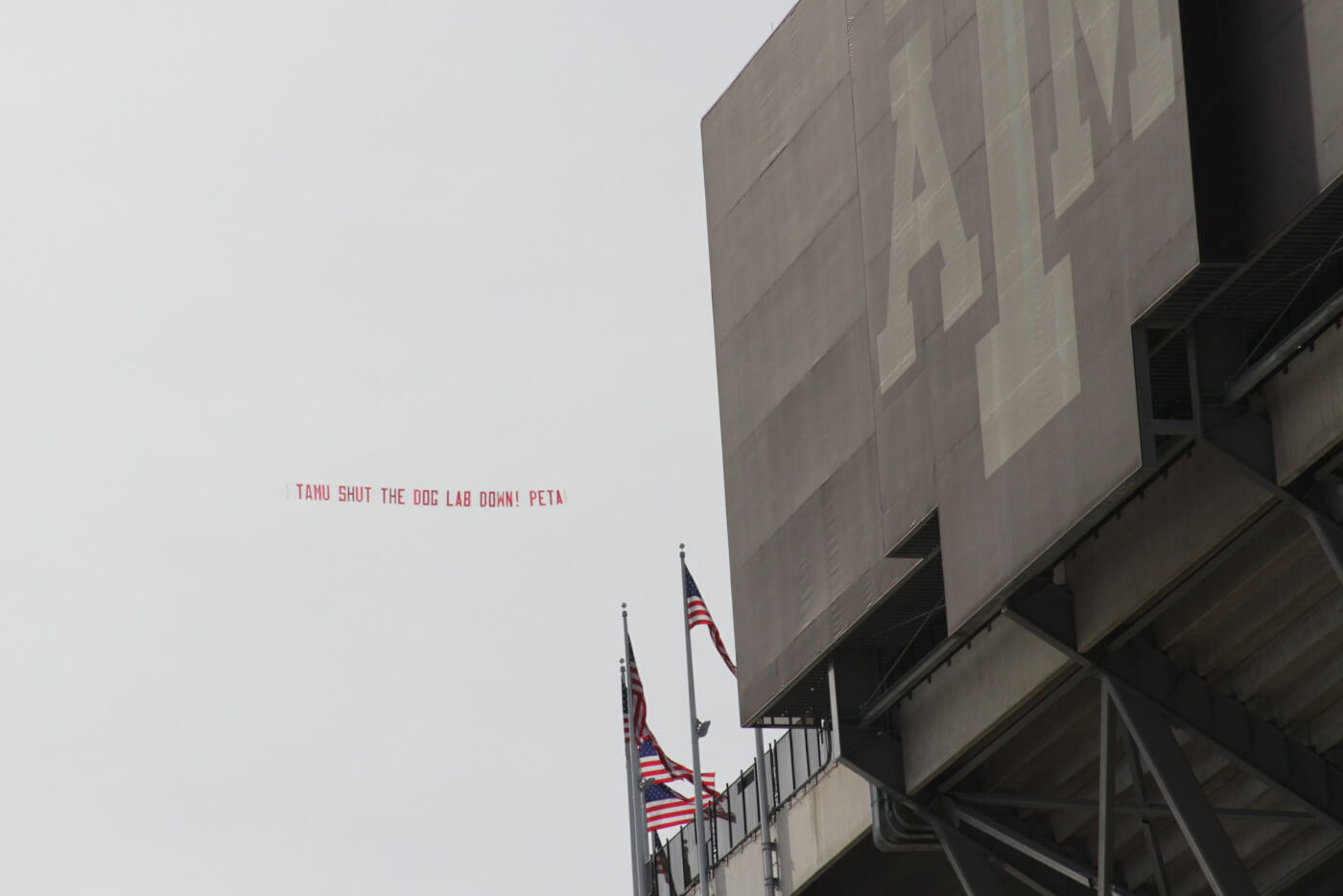 PETA sky banner flies over Texas A&M stadium