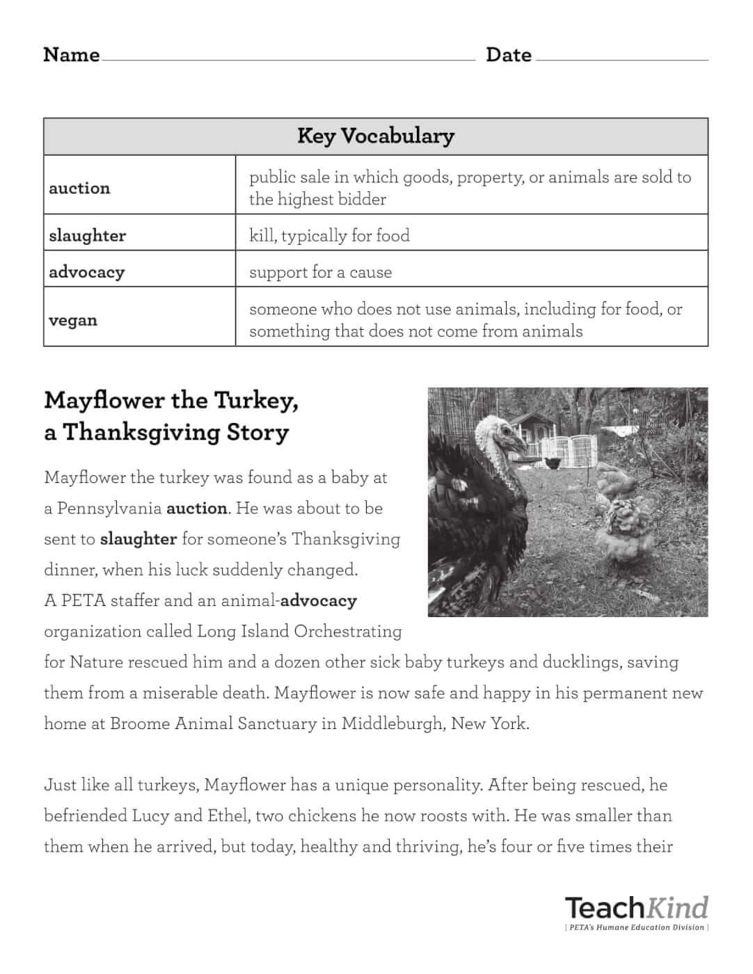 Rescue Stories Printables | PETA