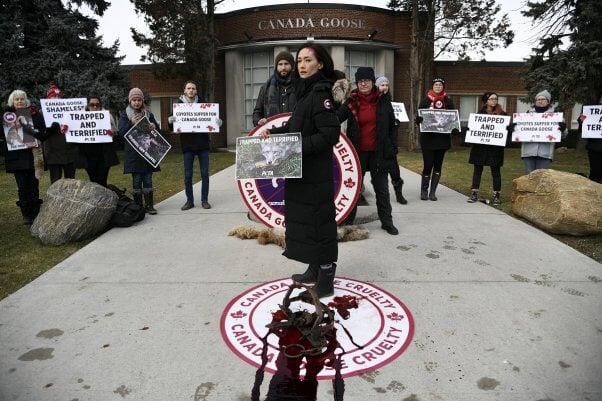 PETA Canada Goose Campaign