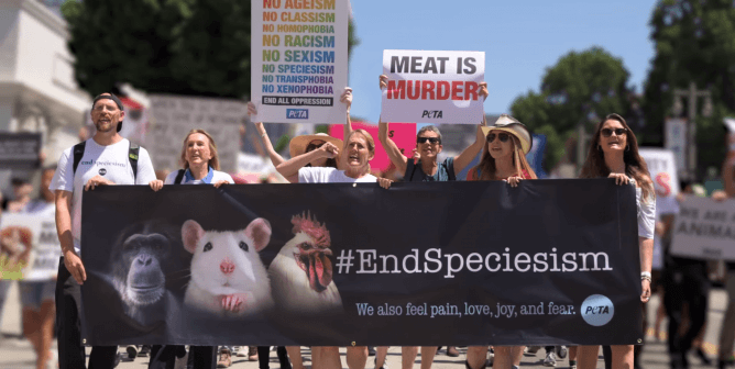 end speciesism banner held by protesters at a march