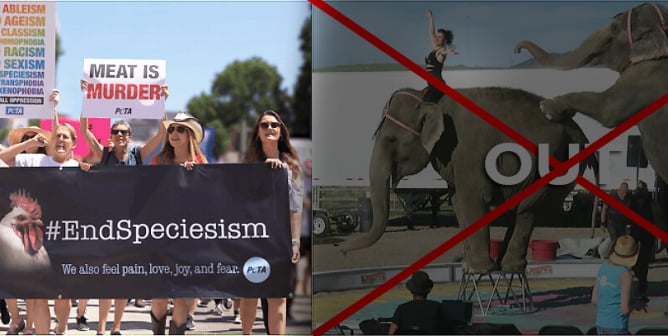 PETA 2020 in and out trend list