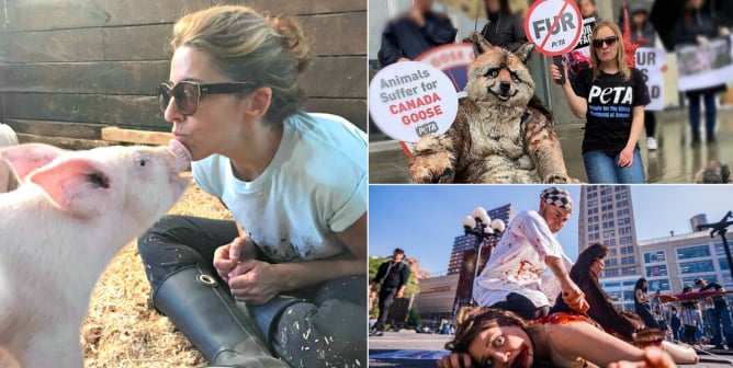 Activists of the year