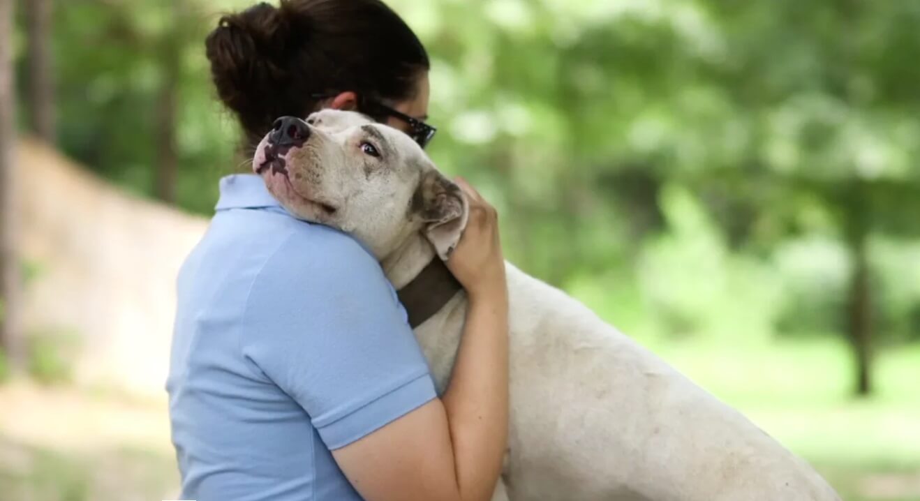 Watch the Documentary 'Breaking the Chain' in 2020 PETA