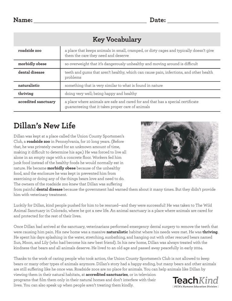 Rescue Stories Printables | PETA