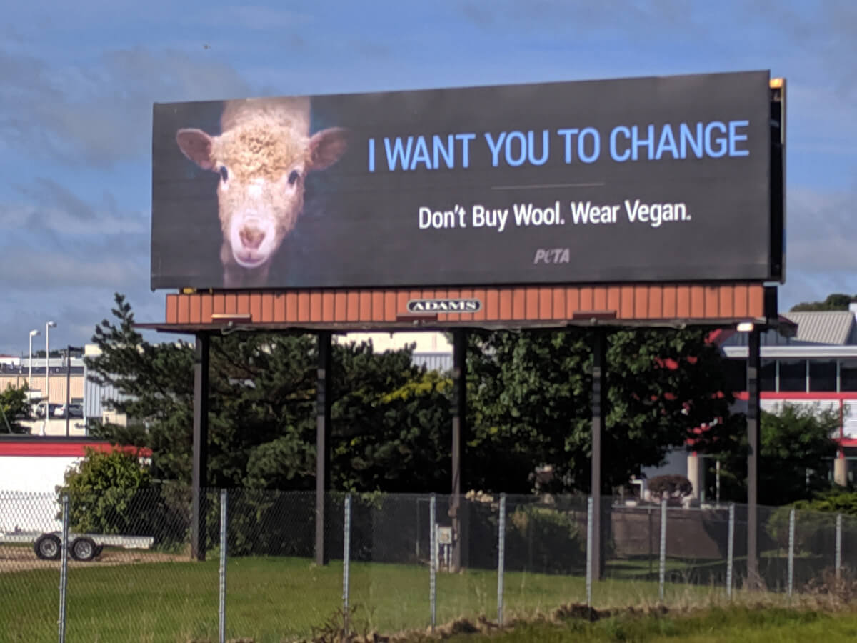 best PETA billboards 2019: I want you to change