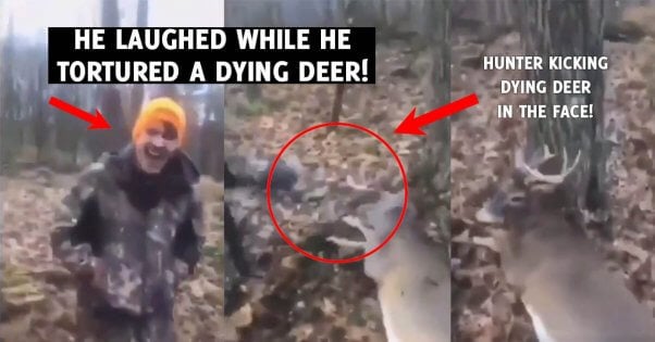 Pennsylvania Hunters Torture Injured Deer