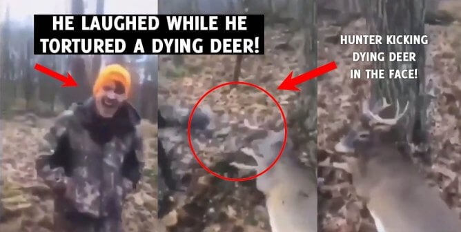 Pennsylvania Hunters Torture Injured Deer