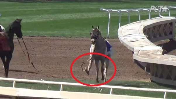 Santa Anita Screenshot