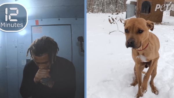 Tyrann Mathieu: Cold Dog 0:30