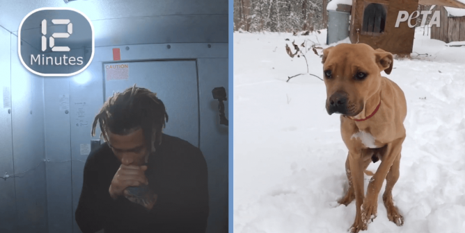 Tyrann Mathieu: Cold Dog 0:30