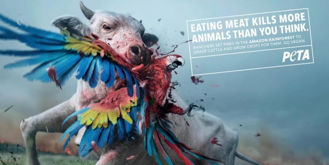 top PETA Billboard Ads 2019 Eating Meat Kills More Animals Than You Think