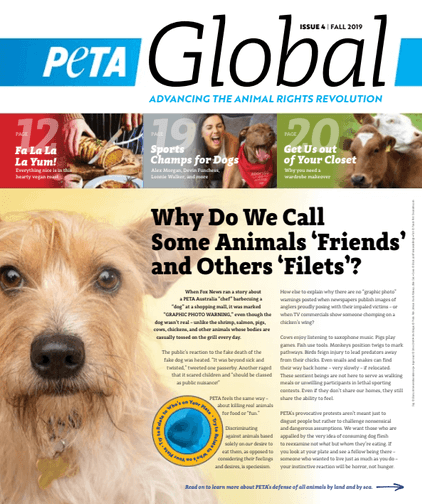 Animal rights organisation PETA releases findings from animal