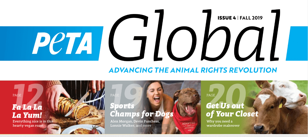 PETA Global': THE Magazine of the Animal Rights Movement | PETA PETA Global': THE Magazine of the Animal Rights Movement | PETA
