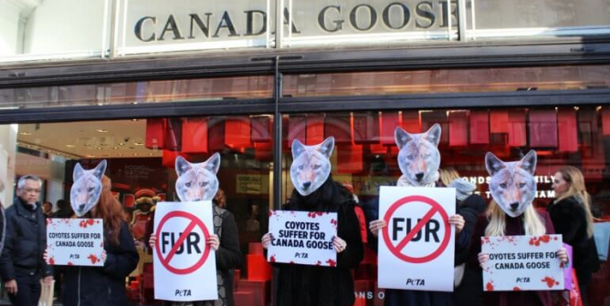 Worldwide, PETA Activists Take Aim at Canada Goose on Fur-Free Friday