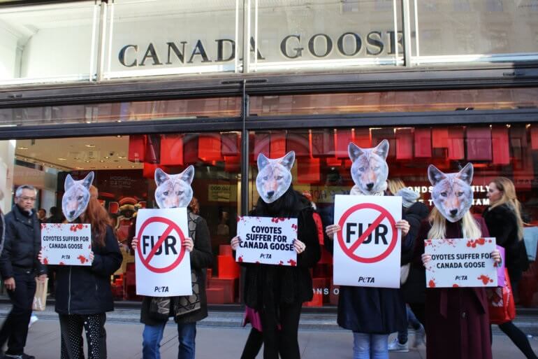 Fur Free Friday