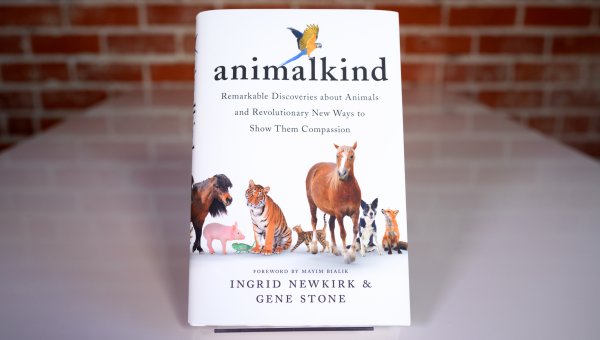 animalkind book propped up on a book stand on a table with a brick wall in the background