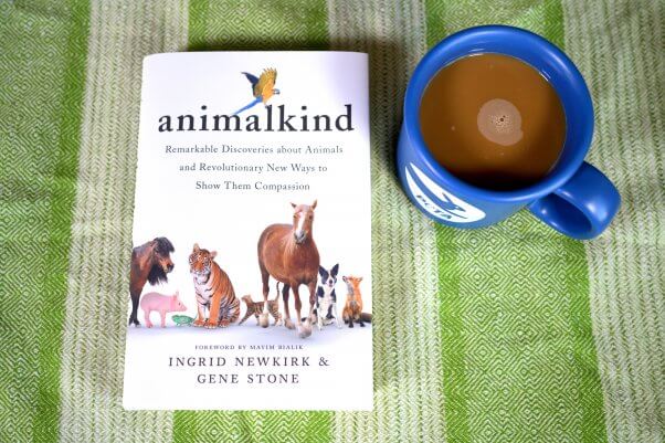 animalkind book on a green and white striped background with a mug of coffee in a blue peta mug