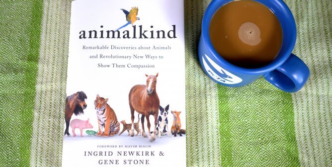 animalkind book on a green and white striped background with a mug of coffee in a blue peta mug