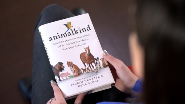 animalkind book being read in a lap