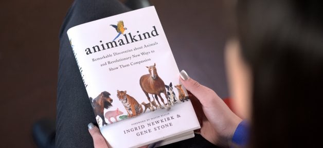 animalkind book being read in a lap