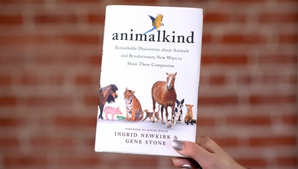 animalkind book held up by a hand with silver nails on a brick background