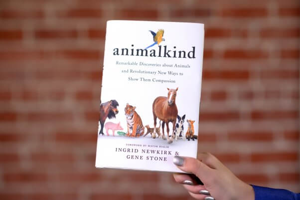 animalkind book held up by a hand with silver nails on a brick background