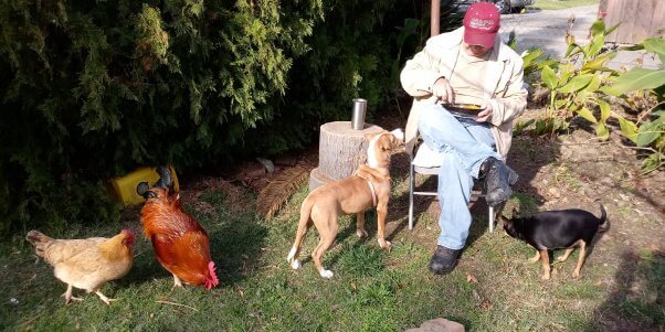 Winner of PETA's Chicken Star Search