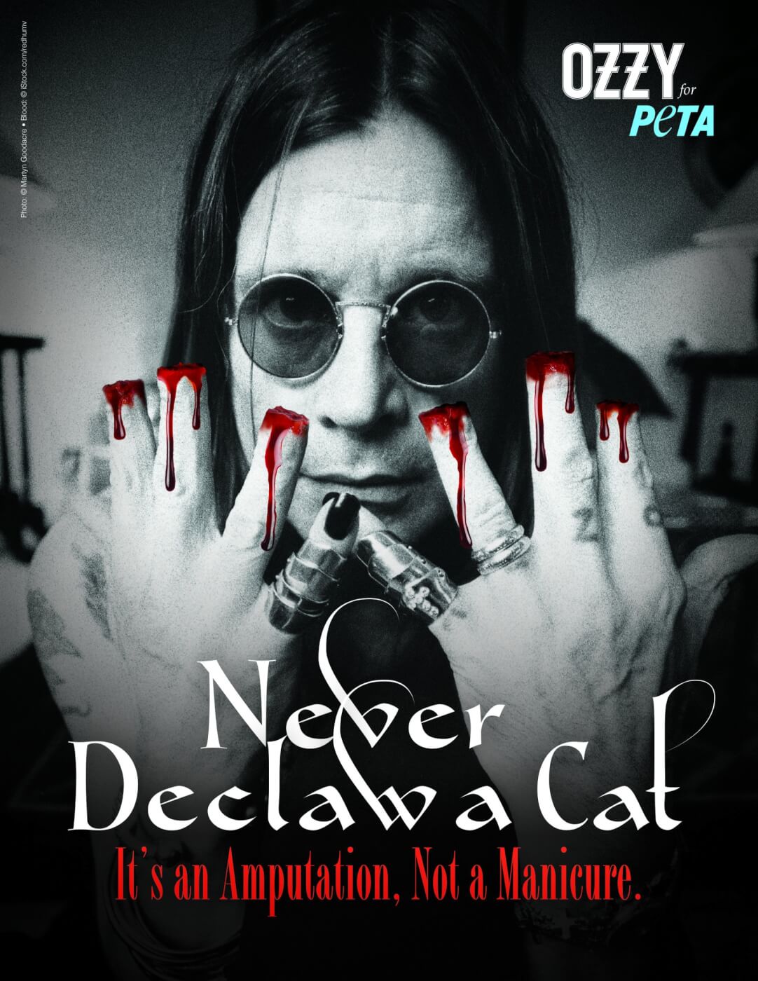  Ozzy  Osbourne Speaks Out Against Cat  Declawing PETA