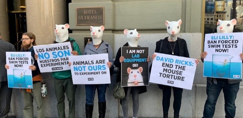 PETA Mice Protest Eli Lilly CEO Over Forced Swim Test