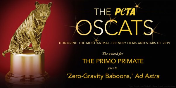 Ad Astra Wins PETA Oscats Award for The Primo Primate