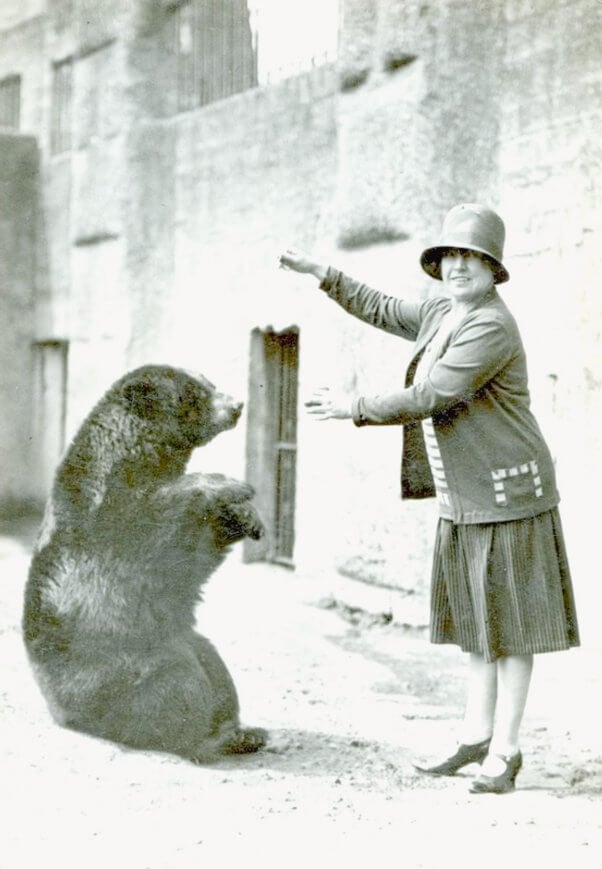 The Real Bear Behind the Iconic Winnie the Pooh Character