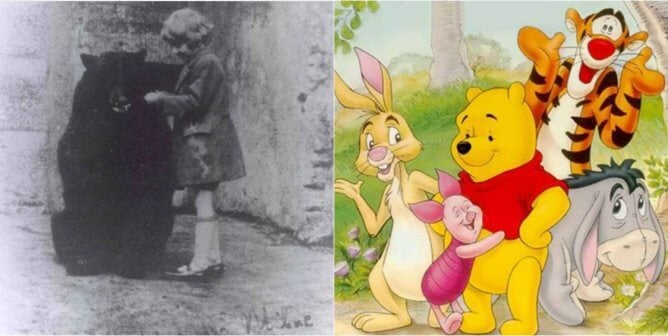 The Real Winnie the Pooh Side-by-Side With the Iconic Character