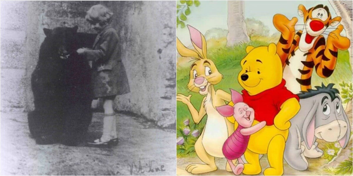 Meet the Real Winnie the Pooh Behind the Iconic Character PETA