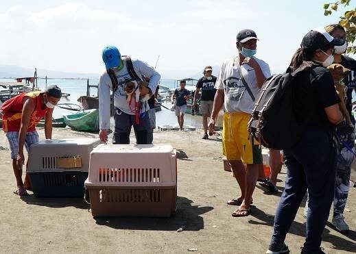 PETA rescue team with animals rescued from Taal volcano eruption