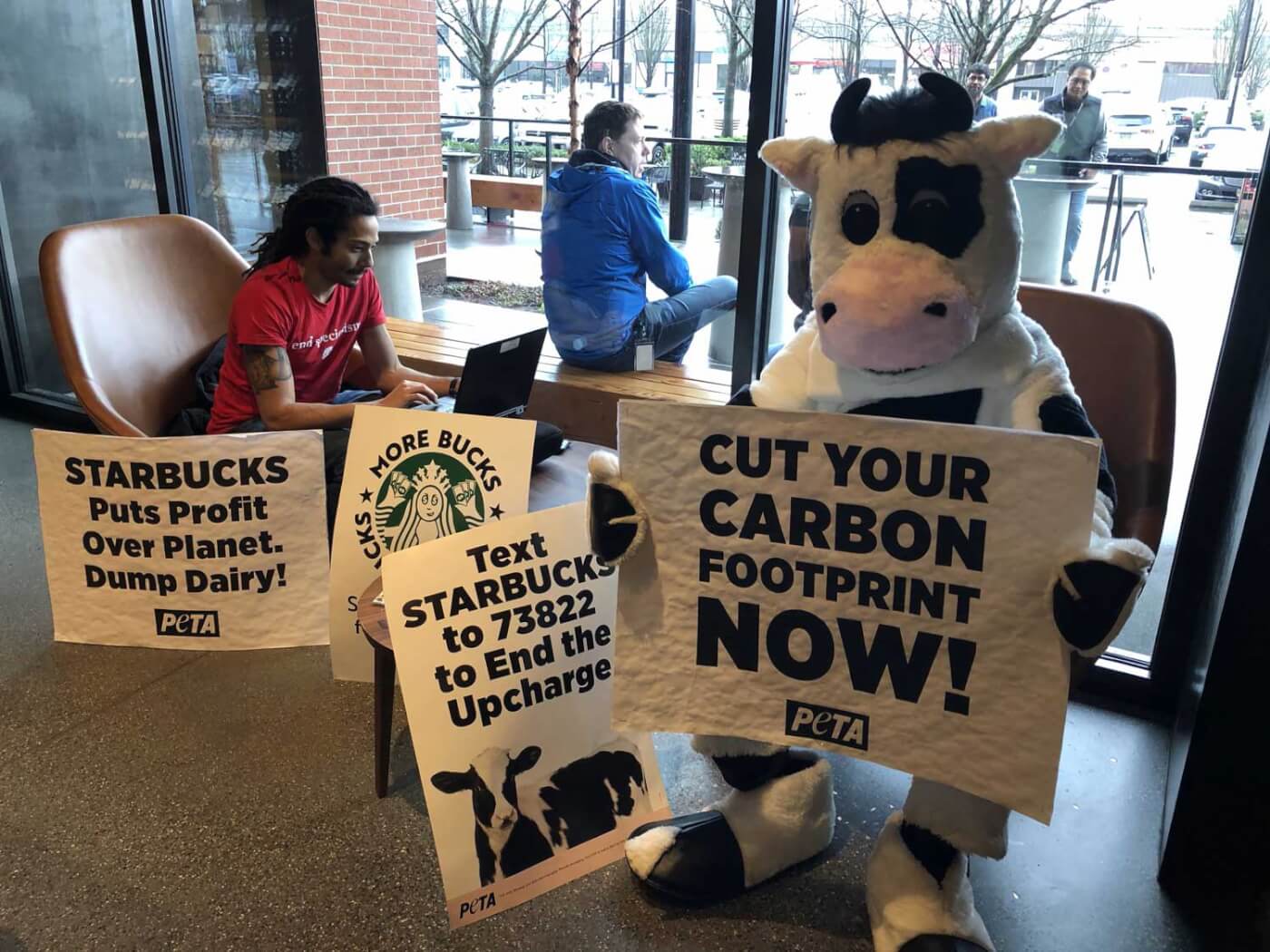 PETA Says Dairy Must Go—Starbucks Says It Agrees PETA