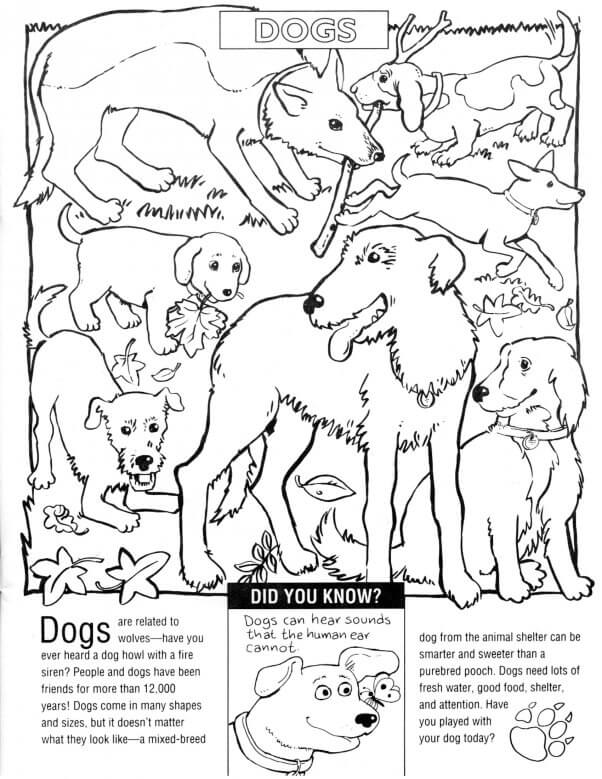 Meet delta, everyone's favorite pet (coloring) : r/TheEminenceInShadow