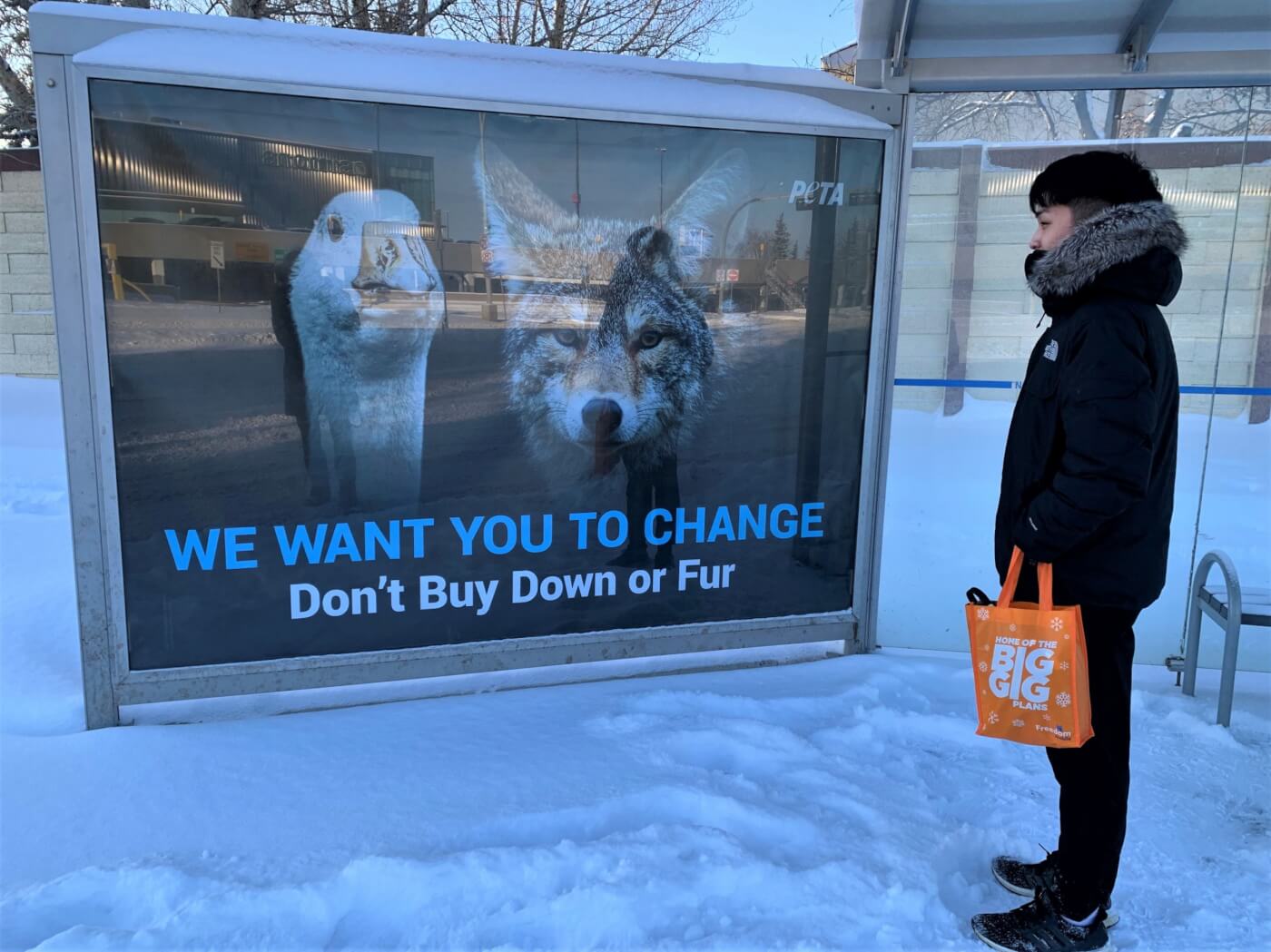 bus shelter ad canada goose