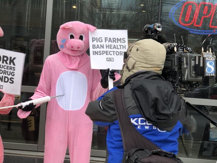 peta demo des moines pigs protest pork industry after 60 minutes segment