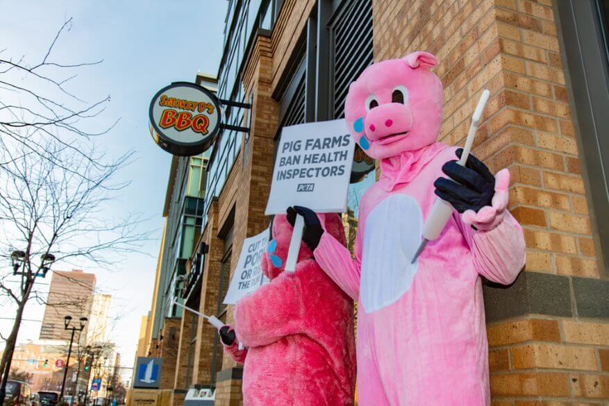 costumed pigs protest pork in des moines with prop syringes