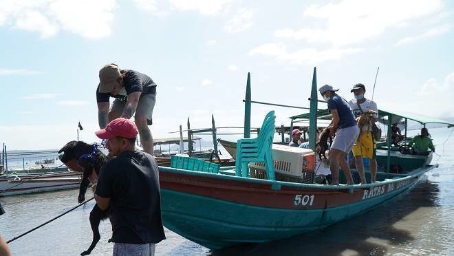 PETA Asia's rescue boat brings rescued animals from Taal volcano eruption