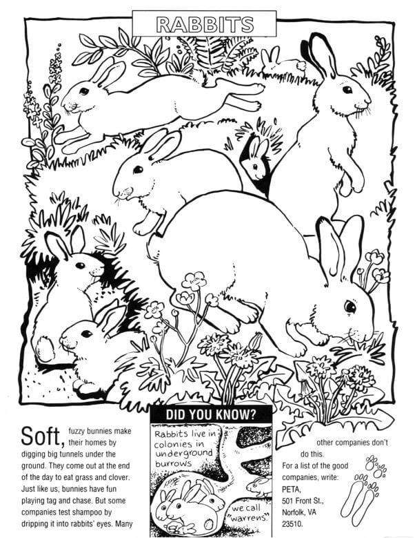 Grades PreK-2 Printables | PETA Grades PreK-2 Printables | PETA