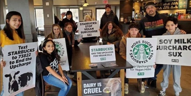 PETA Helped Students Occupy Starbucks in 15 States to Speak Up for Cows