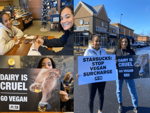 Teen Starbucks Demo Maryland