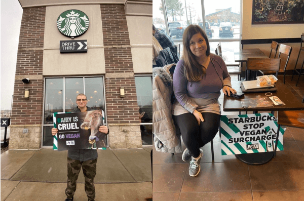 Teen Starbucks Demo IL
