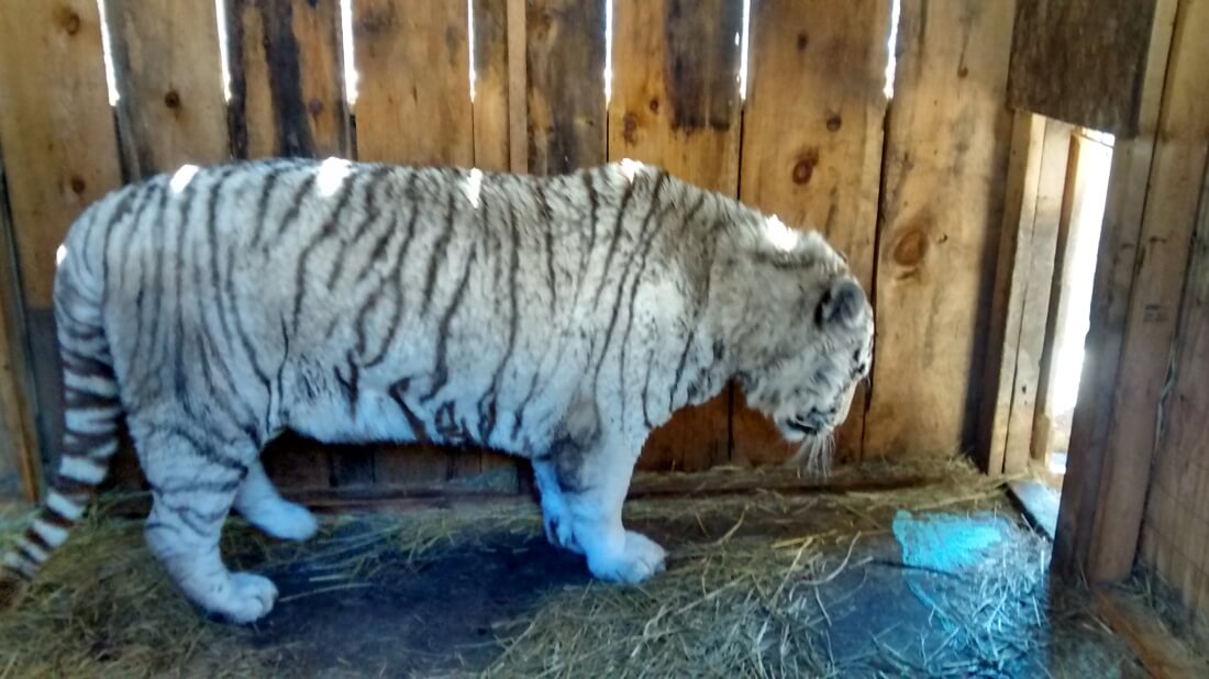 Tri-State Zoological Park