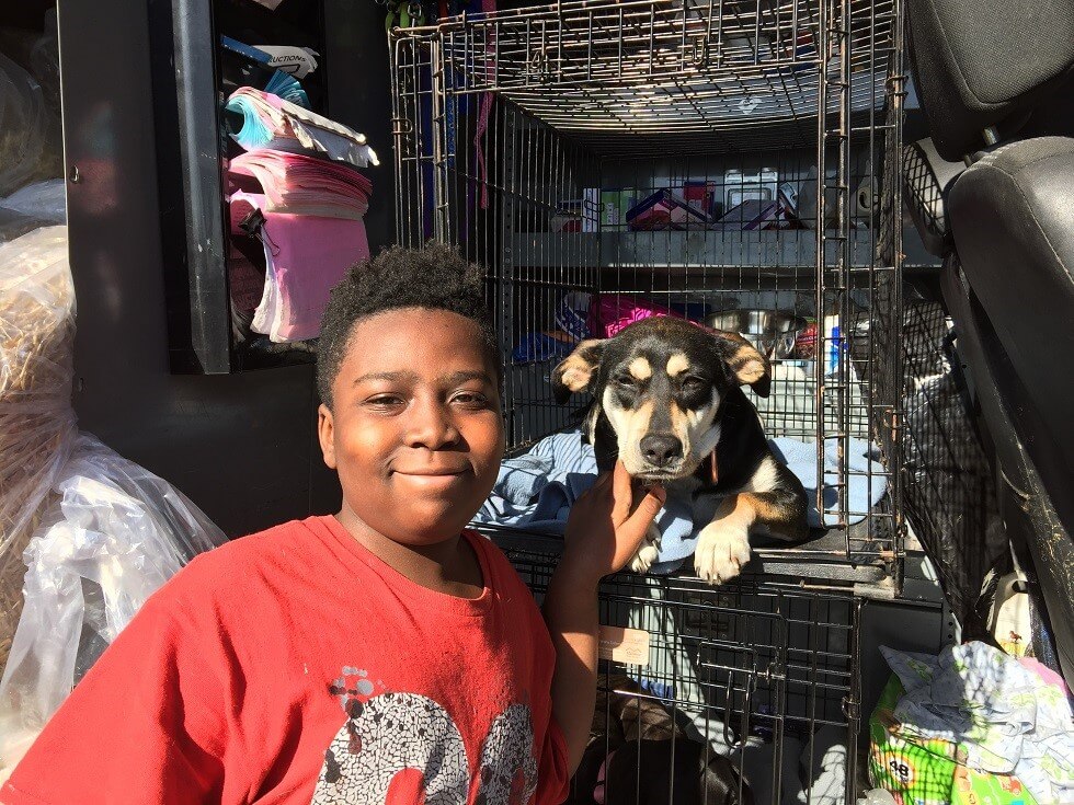 Bella, a dog helped by PETA