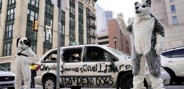 Car-Smash Protest Urges Chrysler to Sever Iditarod Ties