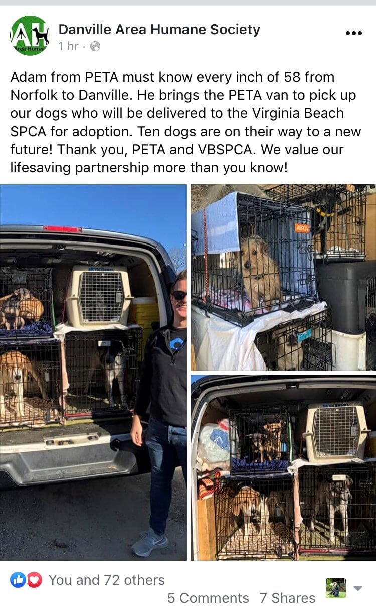 Screenshot of post about PETA transporting animals from Danville to the high-traffic Virginia Beach SPCA