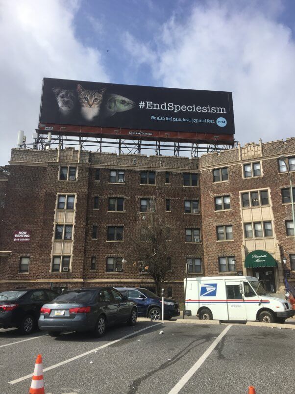 PETA End Speciesism Billboard in Upper Darby